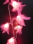soft pink_sml.jpg